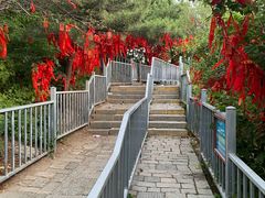 -泰山风景名胜区