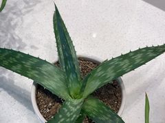-泉上·发现DISCOVERY ·黔菜餐厅(银海元隆广场店)