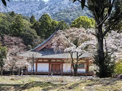 -醍醐寺