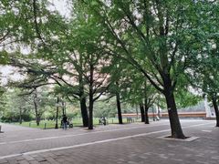 -中山公园音乐堂