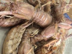 -渔家小院观海海肠捞饭地方菜(环海中路店)