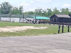 -盐城丹顶鹤湿地生态旅游区