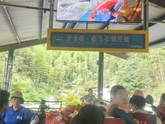 -将军关探险漂流