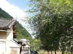 -牛背梁国家森林公园