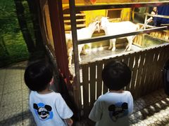 -上海大自然野生昆虫馆(东方明珠·爬宠昆虫探索中心)