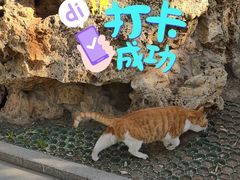-皇家御河游(紫御湾码头)