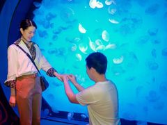 -沈阳海洋探索中心