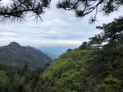 -黄山风景区
