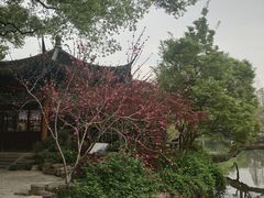 -西湖外事游船(湖滨二公园外事游船码头)