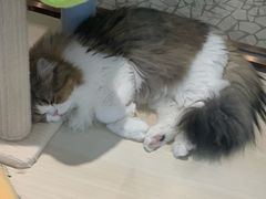 -上海尚嘉中心