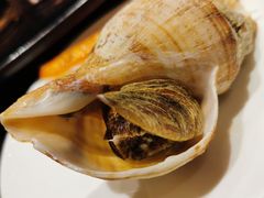 -紫阳海鲜楼·传承闽味(长乐路总店)