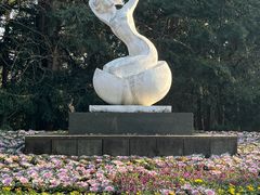 -杭州植物园
