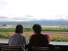 -富田农场