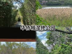 -华侨城湿地公园