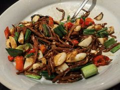 -隐厨·中国菜馆(三里屯T+MALL店)