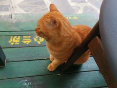 -北京水岸山吧度假村(雁栖镇店)