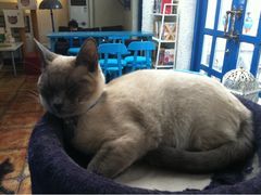 iphone_upload_pic-Sirena海妖日咖夜酒