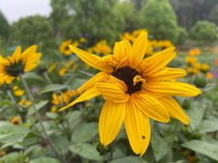 -铁山坪森林公园