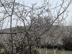-云龙山