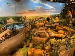 -陕西自然博物馆