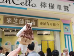 -柠檬车露(卖草地店)
