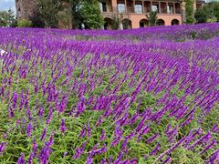 -华侨城阳宗海海景温泉