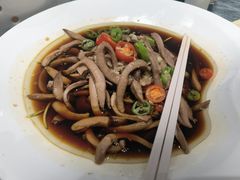 -丁老爷子苏香圆