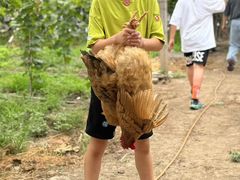 -马陆小张葡萄园农家乐