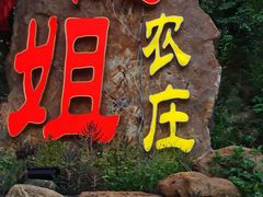 -桃姐农庄老字号(从化温泉店)