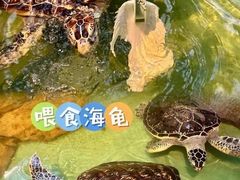 -重庆欢乐海底世界