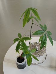 -壹加壹医疗美容·轻医美·美容外科