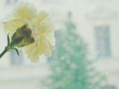 -万达广场(泰安泰山店)