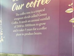 -COSTA COFFEE(阿里中心店)