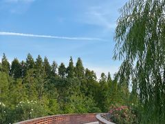 -昆山城市生态森林公园