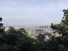 -飞来湖湿地公园