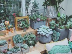 -拾壹cafe·工作室