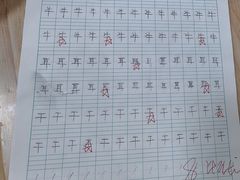 -澳洲袋鼠早教(南二环店)