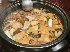 -滇野云南野生菌餐厅(陕西南路店)