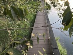 -长白岛森林公园