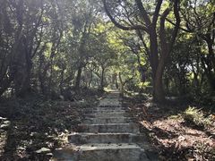 -平湖九龙山旅游度假区