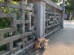 -汕头市小公园