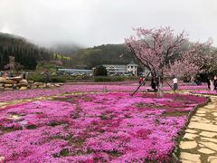 -棒棰岛宾馆景区
