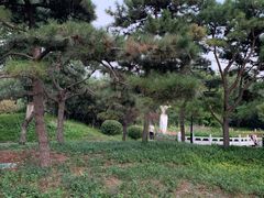-丰台花园