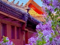 -北京市劳动人民文化宫(太庙)