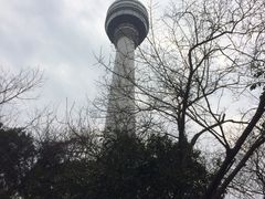 -龟山风景区-龟山电视塔