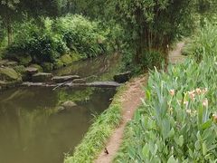 -重庆彩云湖湿地公园