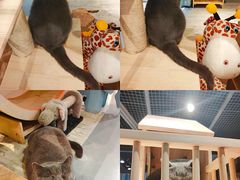 -小时光咖啡馆(开森度假森林店)