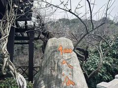 -杭州半山国家森林公园