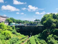 -磐安舞龙峡景区