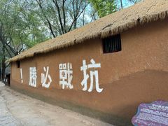 -微山湖红荷湿地景区